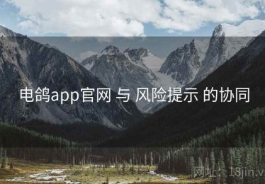 电鸽app官网 与 风险提示 的协同