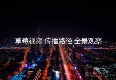 草莓视频 传播路径 全景观察