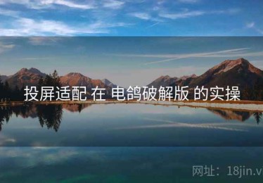投屏适配 在 电鸽破解版 的实操