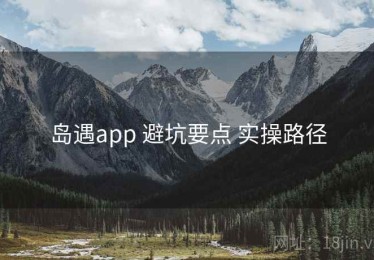 岛遇app 避坑要点 实操路径