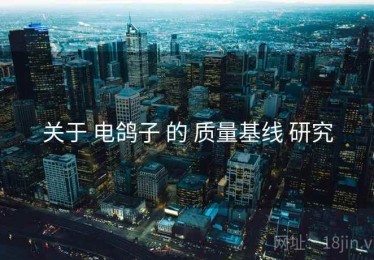 关于 电鸽子 的 质量基线 研究