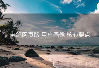 电鸽网页版 用户画像 核心要点
