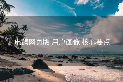 电鸽网页版 用户画像 核心要点