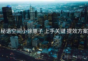 秘语空间小徐崽子 上手关键 提效方案