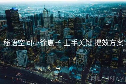 秘语空间小徐崽子 上手关键 提效方案