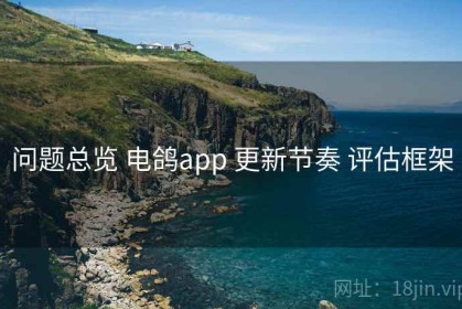 问题总览 电鸽app 更新节奏 评估框架