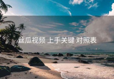丝瓜视频 上手关键 对照表