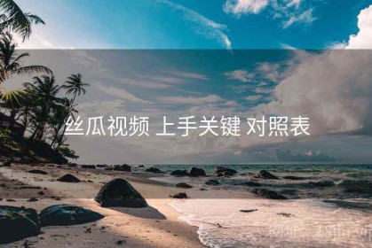 丝瓜视频 上手关键 对照表
