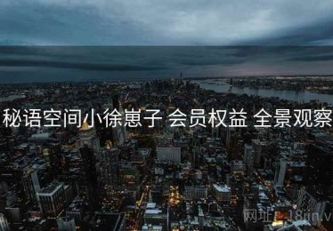 秘语空间小徐崽子 会员权益 全景观察