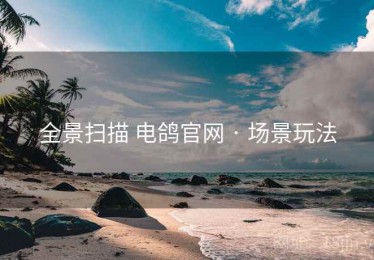 全景扫描 电鸽官网 · 场景玩法