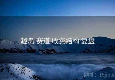 趣岛 赛道 收费结构 复盘