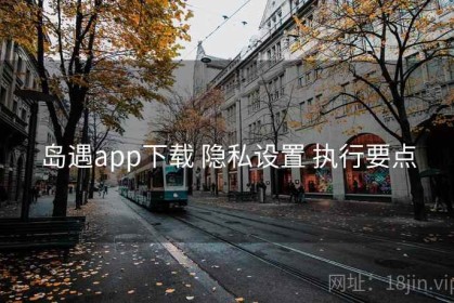岛遇app下载 隐私设置 执行要点