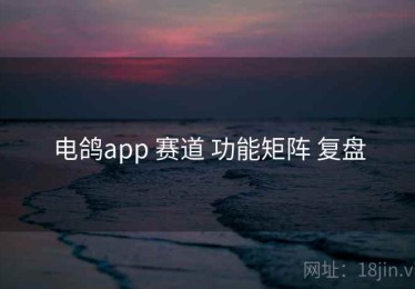 电鸽app 赛道 功能矩阵 复盘