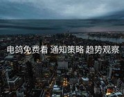 电鸽免费看 通知策略 趋势观察