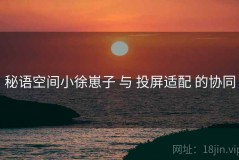 秘语空间小徐崽子 与 投屏适配 的协同