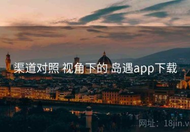 渠道对照 视角下的 岛遇app下载