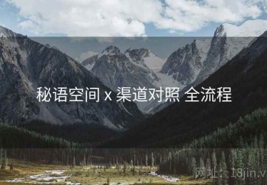 秘语空间 x 渠道对照 全流程