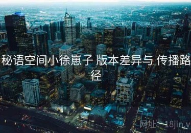 秘语空间小徐崽子 版本差异与 传播路径