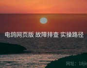 电鸽网页版 故障排查 实操路径