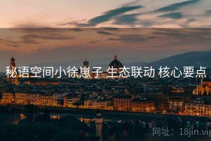 秘语空间小徐崽子 生态联动 核心要点
