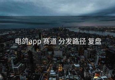 电鸽app 赛道 分发路径 复盘