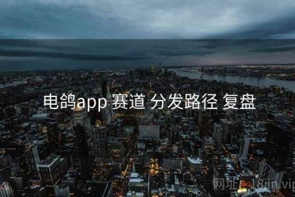 电鸽app 赛道 分发路径 复盘