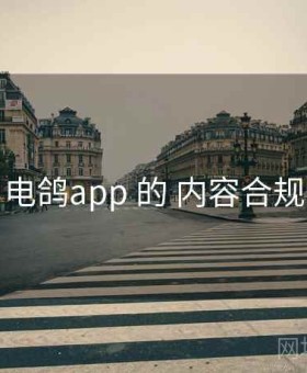 关于 电鸽app 的 内容合规 研究