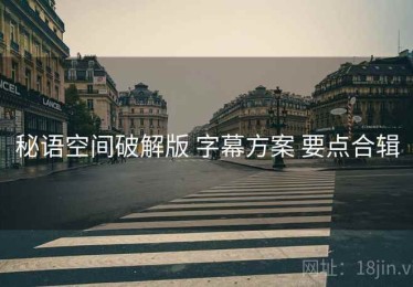 秘语空间破解版 字幕方案 要点合辑