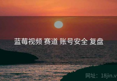 蓝莓视频 赛道 账号安全 复盘