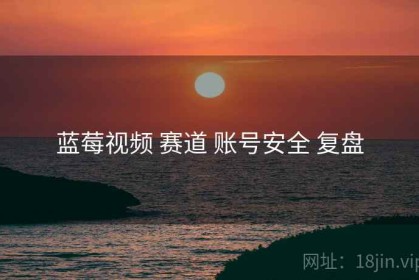 蓝莓视频 赛道 账号安全 复盘