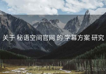 关于 秘语空间官网 的 字幕方案 研究