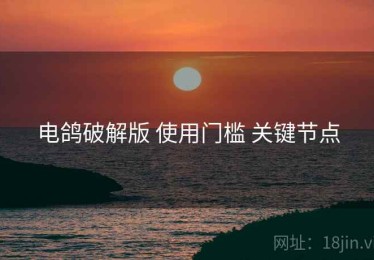 电鸽破解版 使用门槛 关键节点