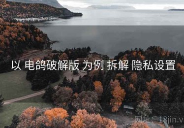 以 电鸽破解版 为例 拆解 隐私设置