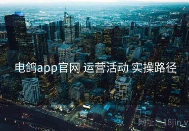 电鸽app官网 运营活动 实操路径