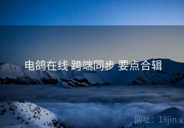 电鸽在线 跨端同步 要点合辑