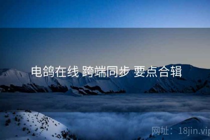 电鸽在线 跨端同步 要点合辑