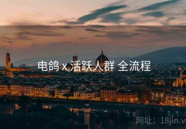 电鸽 x 活跃人群 全流程