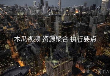 木瓜视频 资源聚合 执行要点