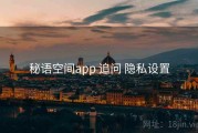 秘语空间app 追问 隐私设置