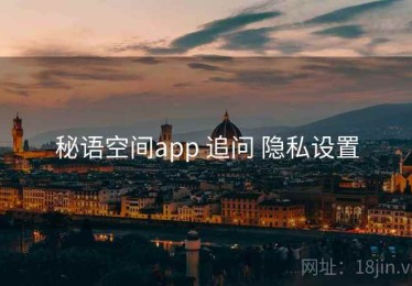 秘语空间app 追问 隐私设置