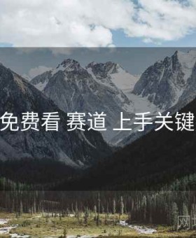 电鸽免费看 赛道 上手关键 复盘