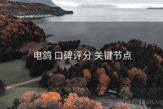 电鸽 口碑评分 关键节点