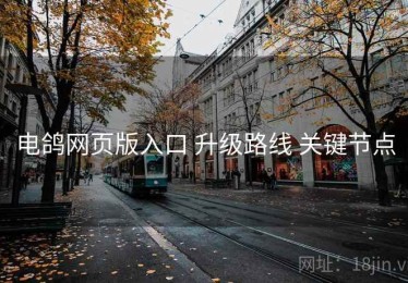 电鸽网页版入口 升级路线 关键节点