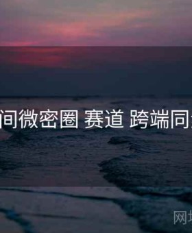 秘语空间微密圈 赛道 跨端同步 复盘