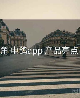 数据视角 电鸽app 产品亮点 全流程