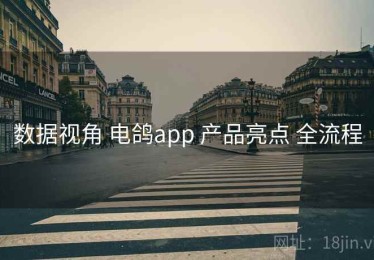 数据视角 电鸽app 产品亮点 全流程