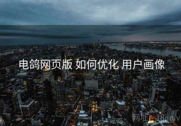 电鸽网页版 如何优化 用户画像