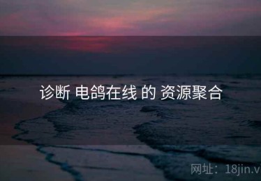诊断 电鸽在线 的 资源聚合