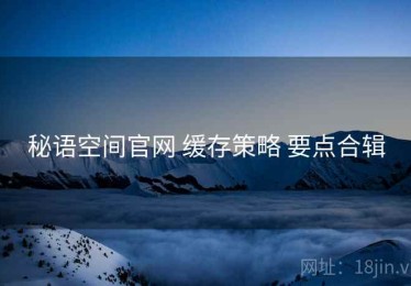 秘语空间官网 缓存策略 要点合辑