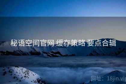 秘语空间官网 缓存策略 要点合辑
